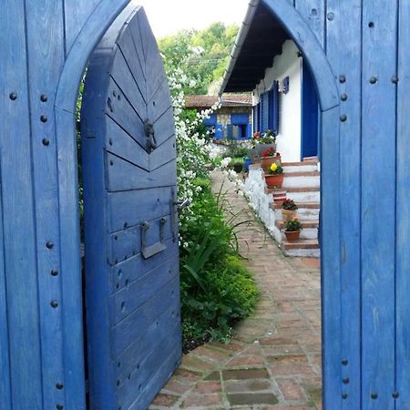 Vila Casa Anca Cheile Nerei Sokolar Exteriér fotografie