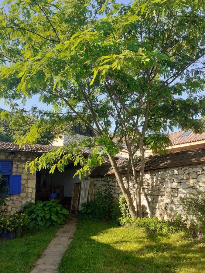 Vila Casa Anca Cheile Nerei Sokolar Exteriér fotografie