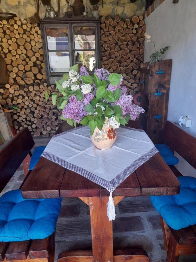 Vila Casa Anca Cheile Nerei Sokolar Exteriér fotografie