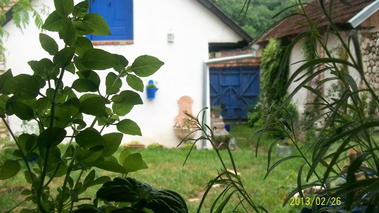 Vila Casa Anca Cheile Nerei Sokolar Exteriér fotografie