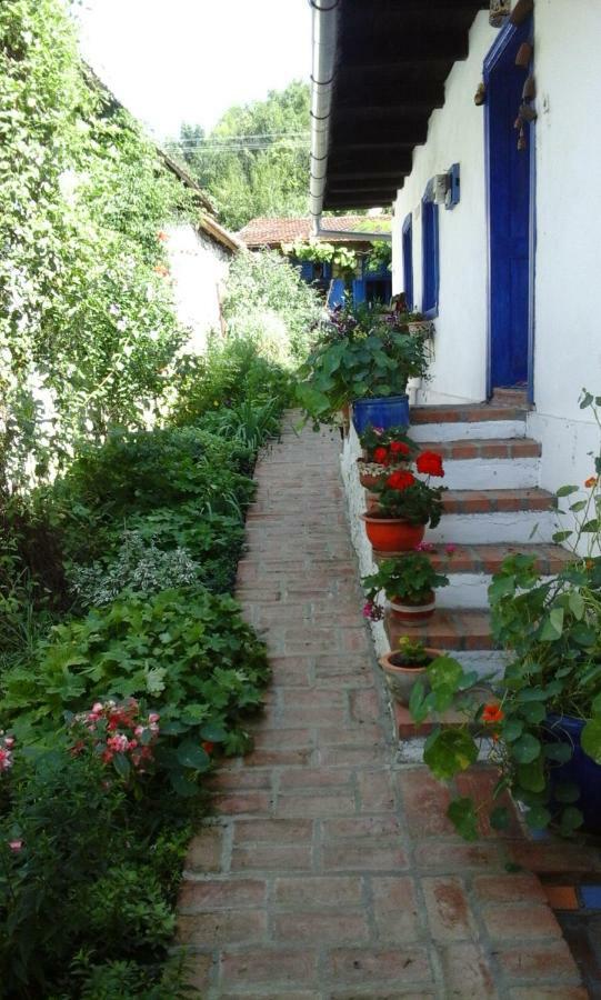 Vila Casa Anca Cheile Nerei Sokolar Exteriér fotografie