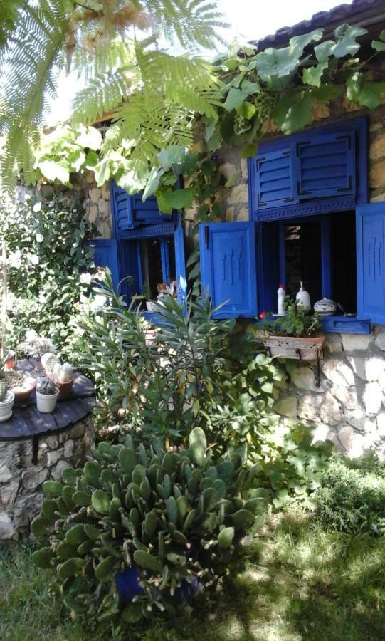 Vila Casa Anca Cheile Nerei Sokolar Exteriér fotografie