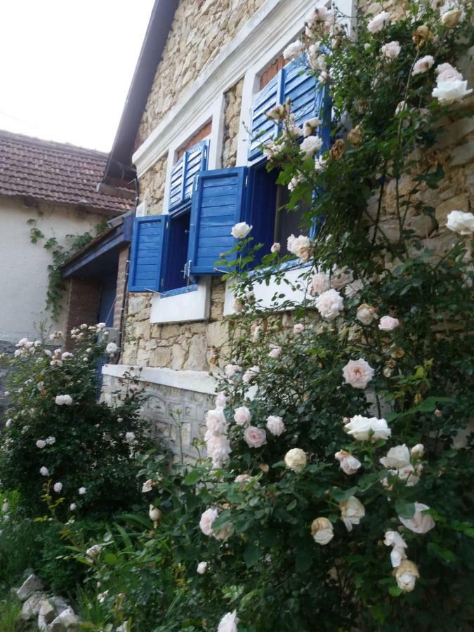Vila Casa Anca Cheile Nerei Sokolar Exteriér fotografie